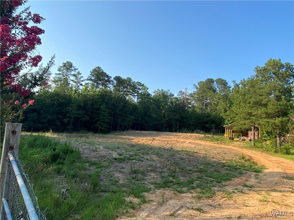3025 Potato Patch Creek Road, Marion, Alabama image 13