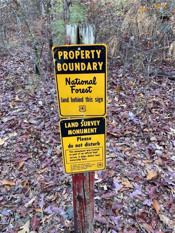 3025 Potato Patch Creek Road, Marion, Alabama image 27