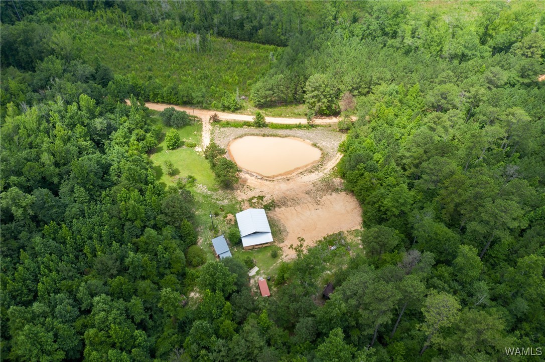 3025 Potato Patch Creek Road, Marion, Alabama image 3