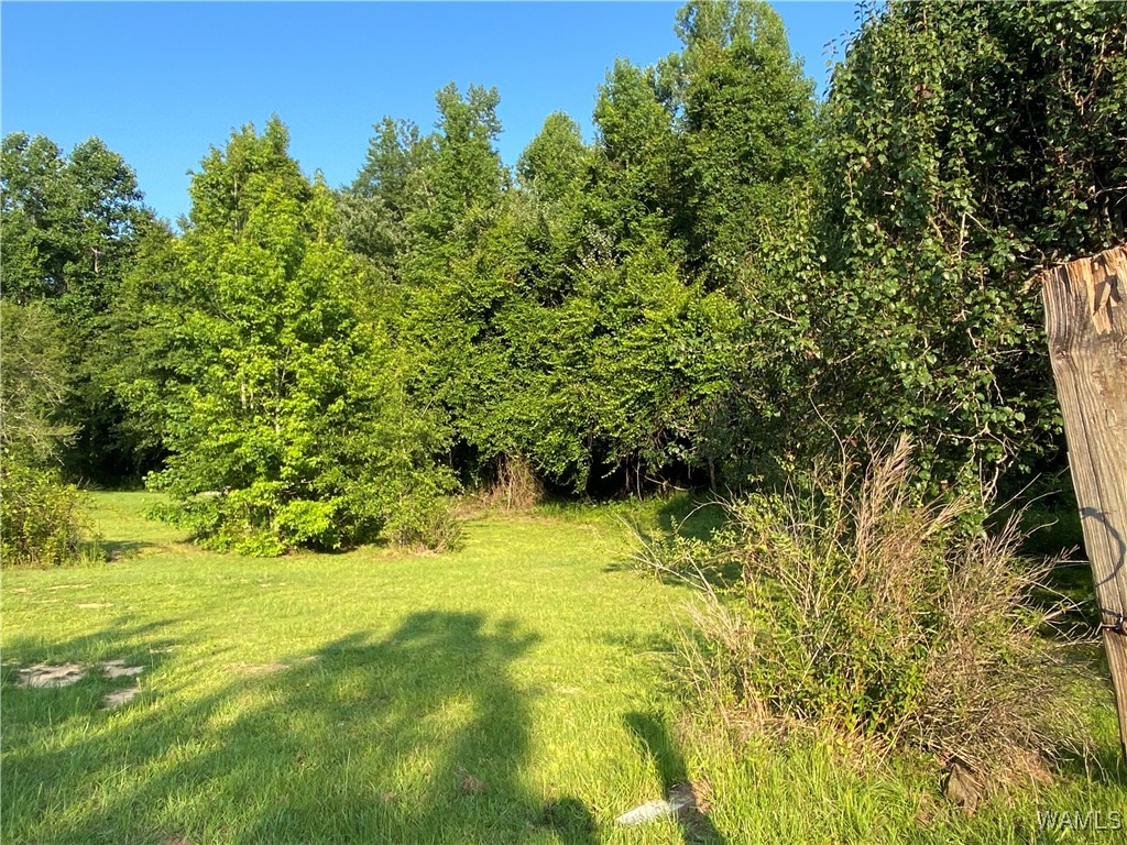 3025 Potato Patch Creek Road, Marion, Alabama image 16