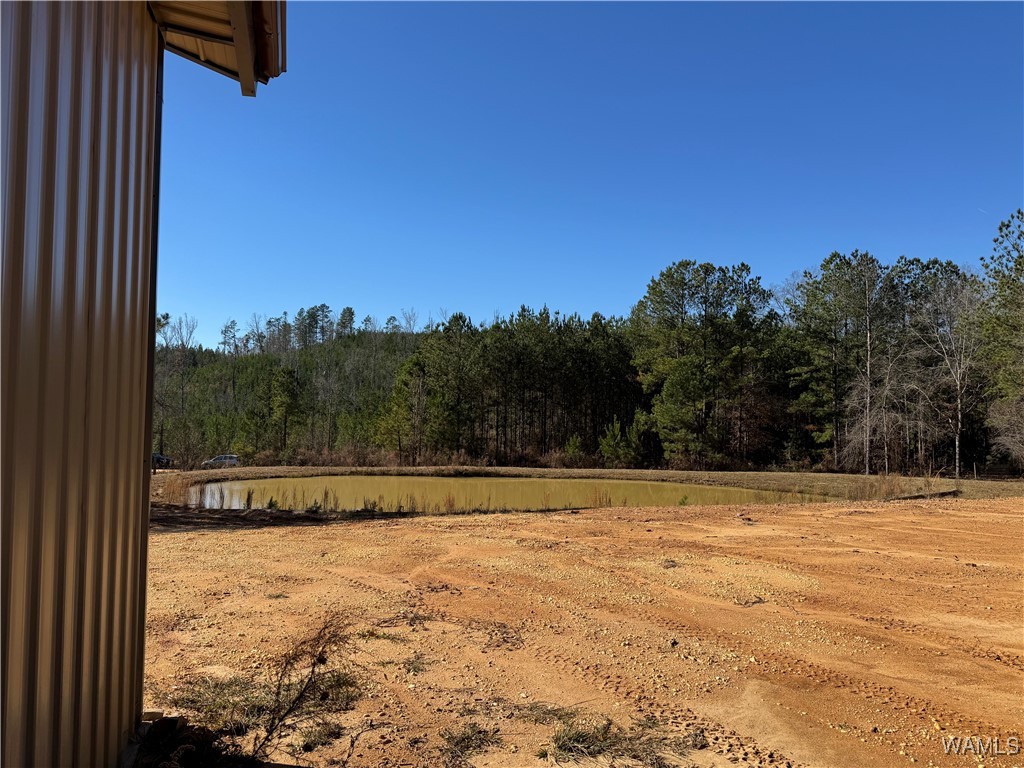 3025 Potato Patch Creek Road, Marion, Alabama image 21