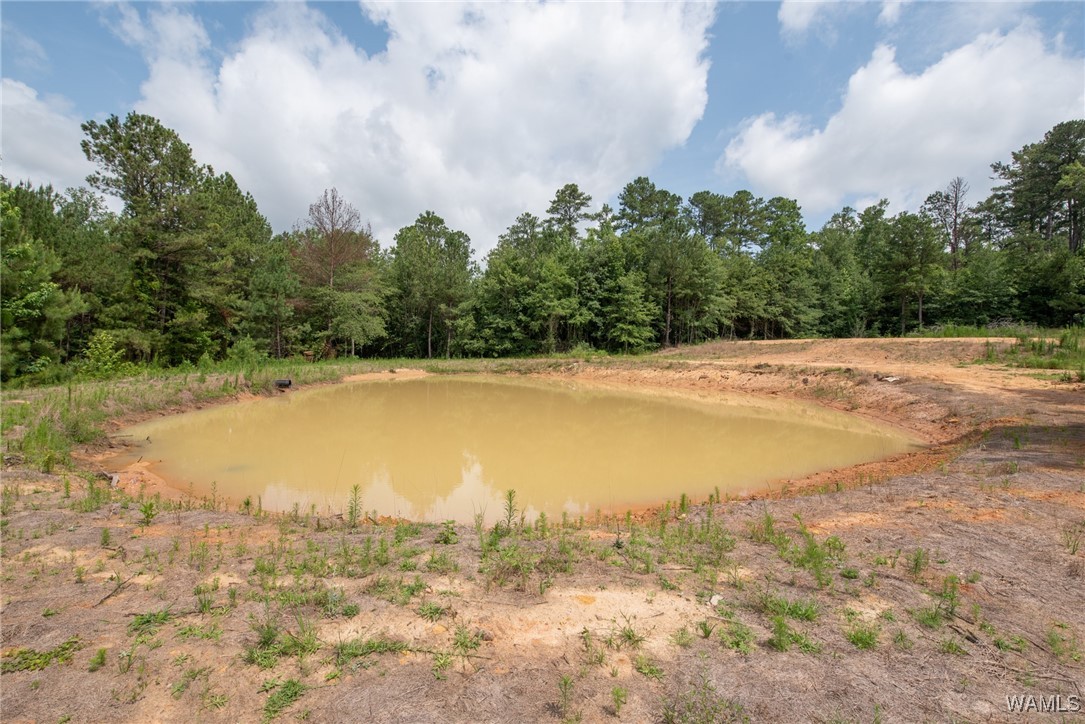 3025 Potato Patch Creek Road, Marion, Alabama image 9