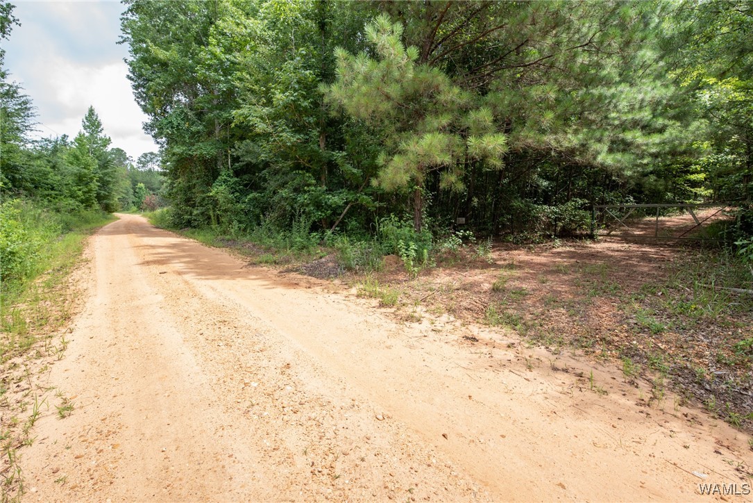 3025 Potato Patch Creek Road, Marion, Alabama image 11