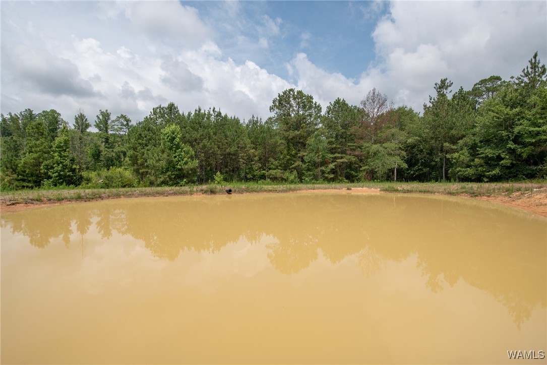 3025 Potato Patch Creek Road, Marion, Alabama image 10
