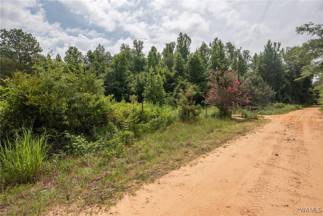3025 Potato Patch Creek Road, Marion, Alabama image 8