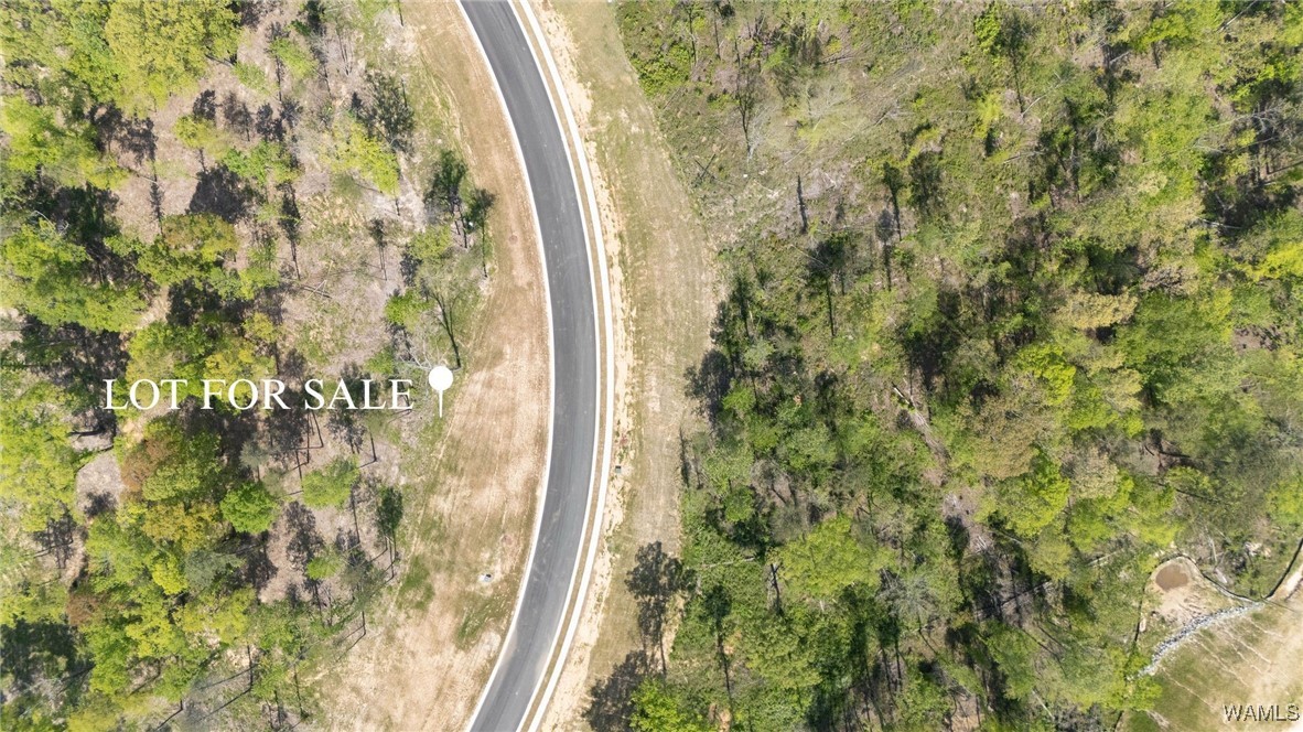 63 Anguilla Avenue, Tuscaloosa, Alabama image 2