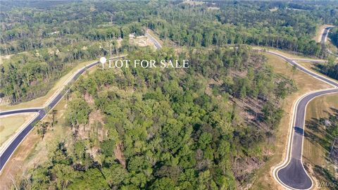 Vacant Land For Sale - 63 Anguilla Avenue<br/> Tuscaloosa, AL 35406