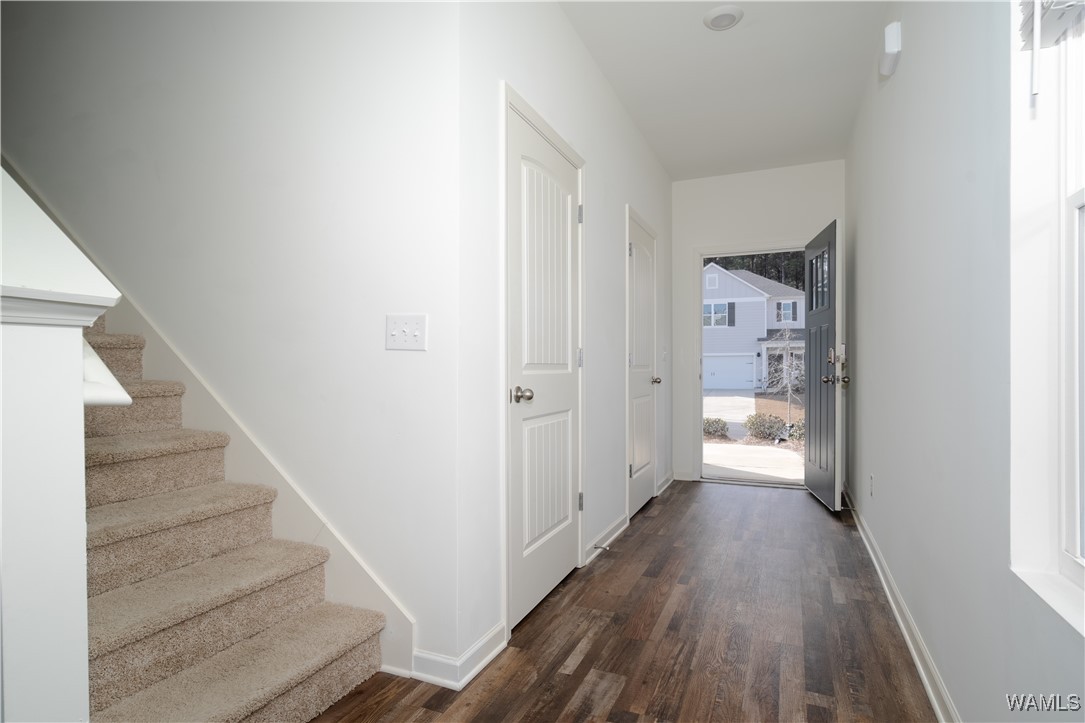 207 Chelsea Park Circle Circle