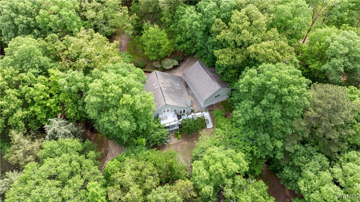 15693 Compass Drive, North Port, Alabama image 2