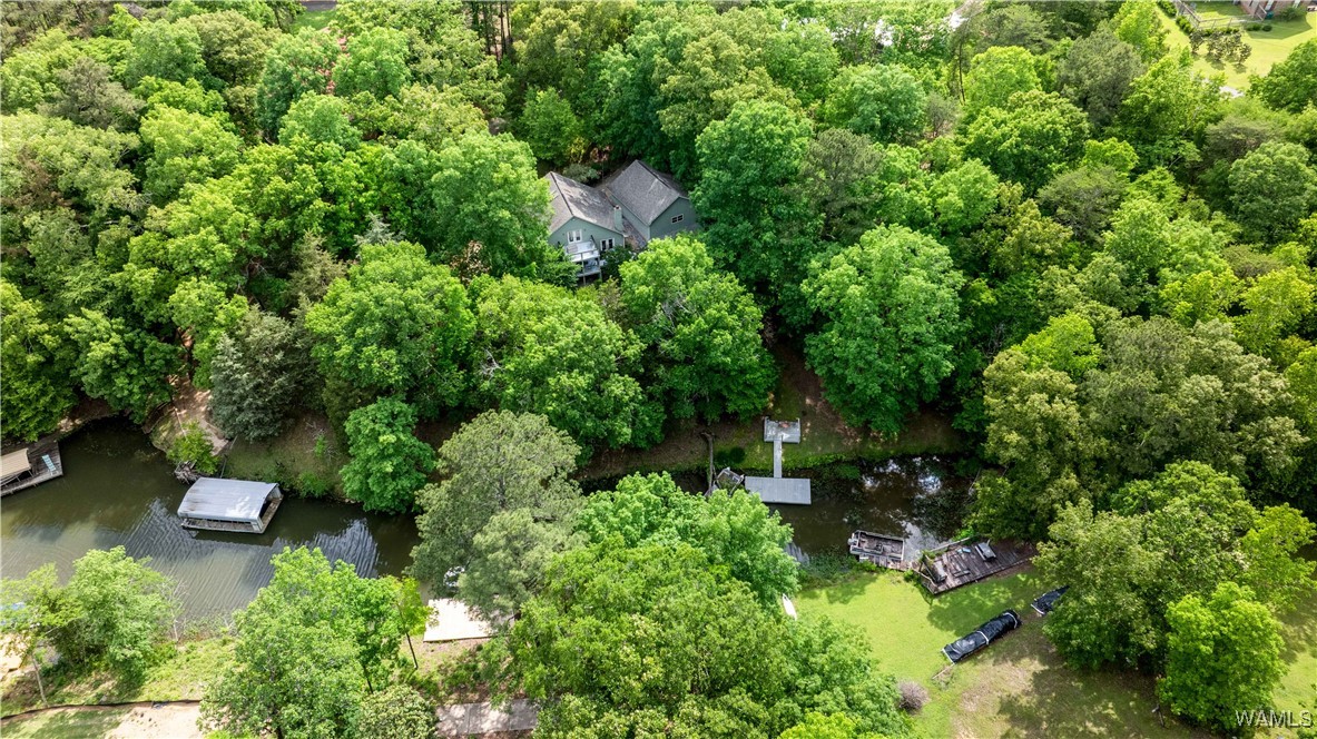 15693 Compass Drive, North Port, Alabama image 12
