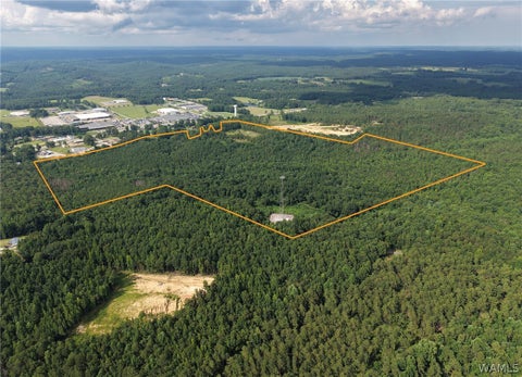 Vacant Land For Sale - 0000 Lonestar Dr<br/> Hamilton, AL 35570