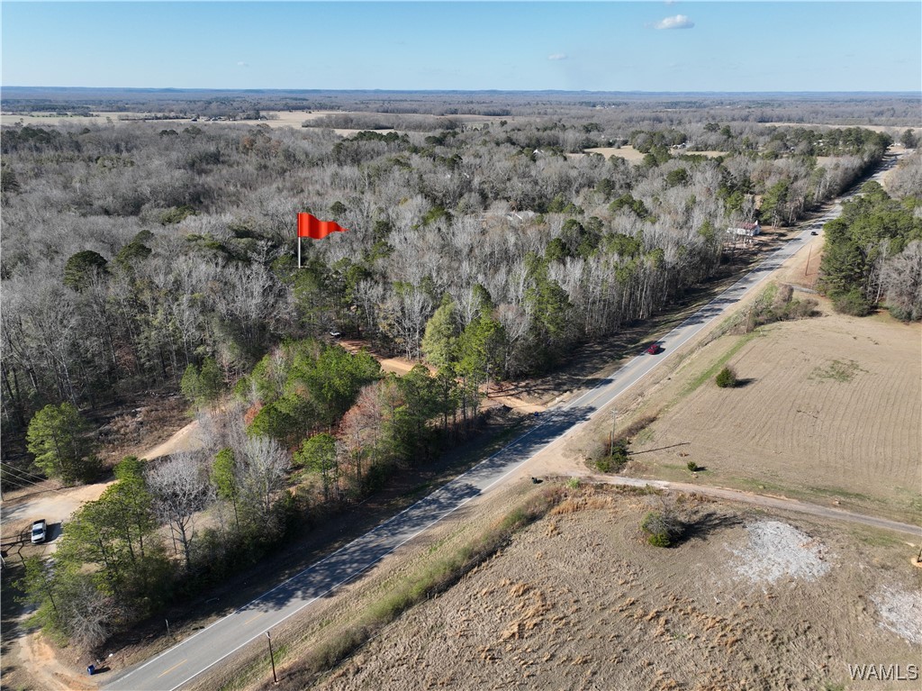 37557 Al Highway 69, Moundville, Alabama image 10