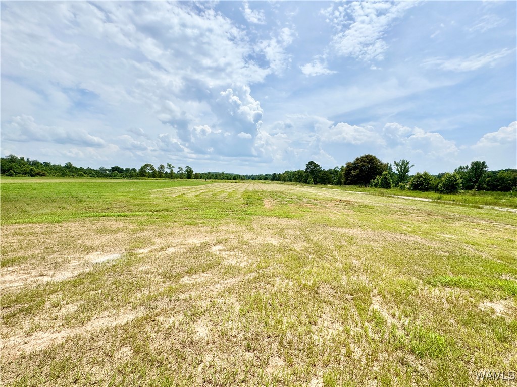 11700 Cripple Creek Road, Berry, Alabama image 23