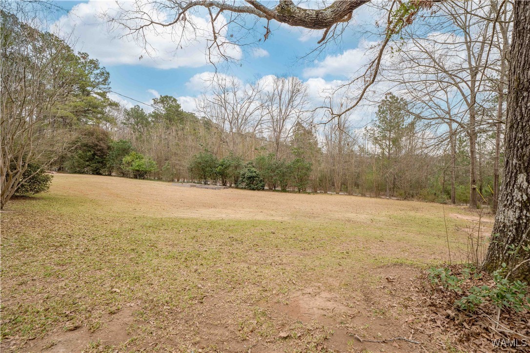 4720 Clements Road, Cottondale, Alabama image 28