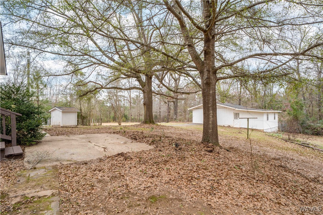 4720 Clements Road, Cottondale, Alabama image 27