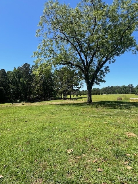 17251 N Hagler Road, North Port, Alabama image 4