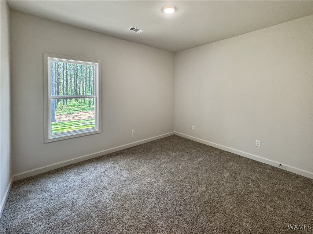 13600 Northside Road, Berry, Alabama image 29