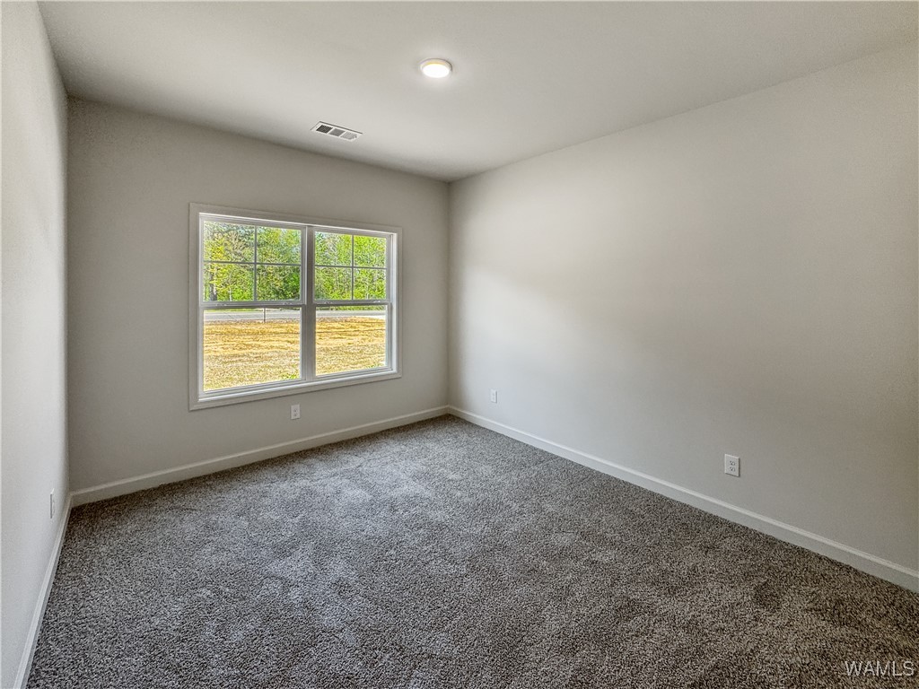 13600 Northside Road, Berry, Alabama image 25