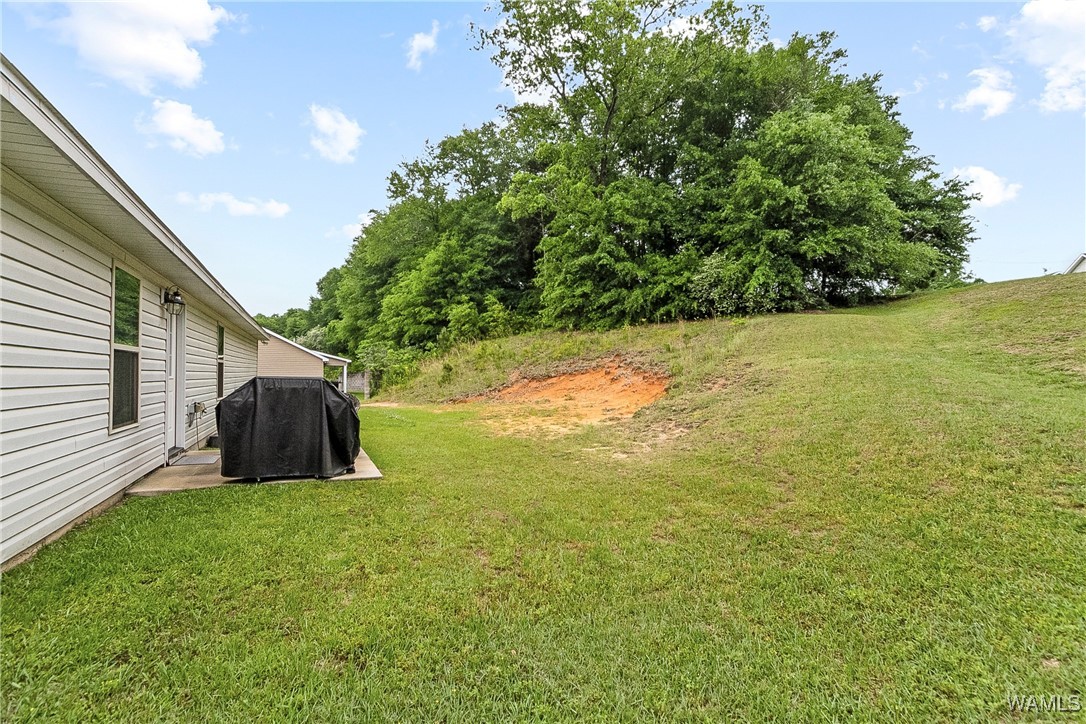 14924 Shannon Lane, Fosters, Alabama image 23
