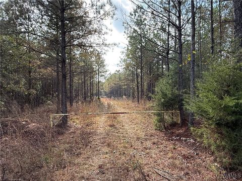 Vacant Land For Sale - 0000 Old Hwy 18<br/> Lamar County, Vernon, AL 35592