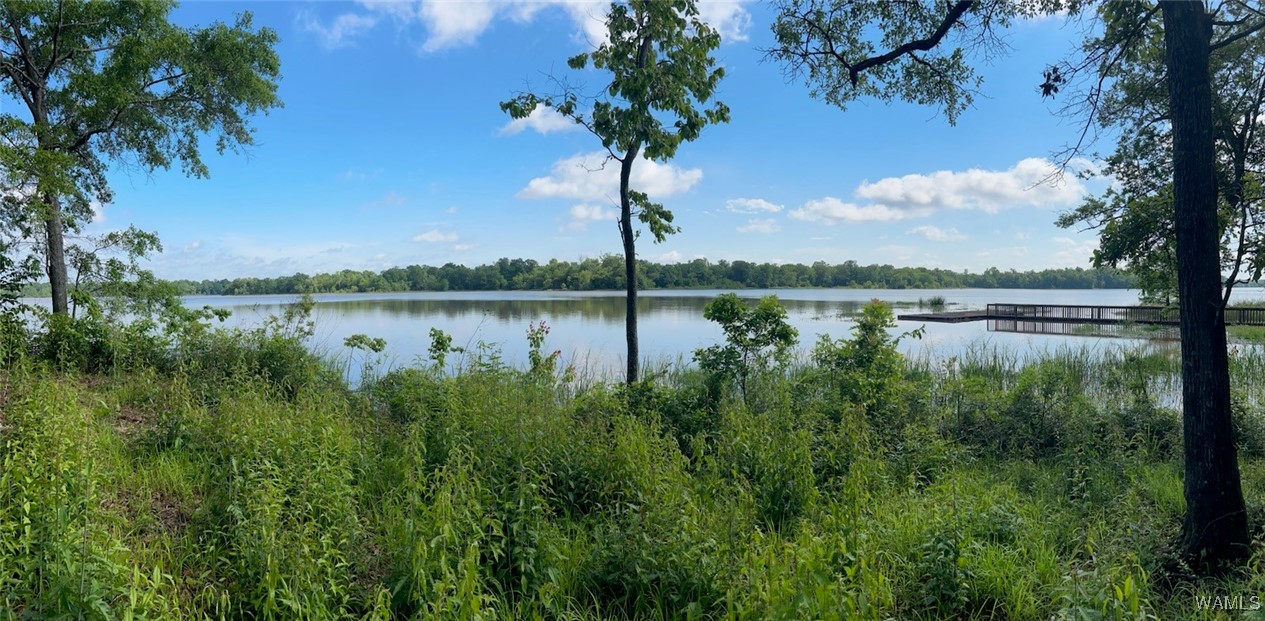 Lot 87 Cypress Point Drive, Akron, Alabama image 3