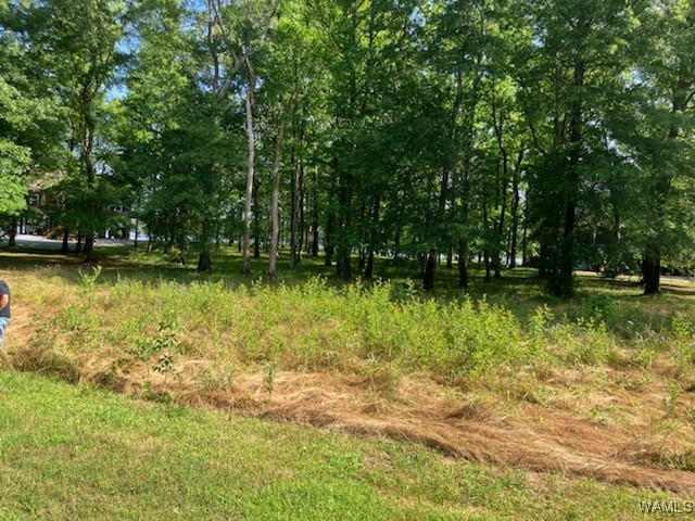 Lot 87 Cypress Point Drive, Akron, Alabama image 5