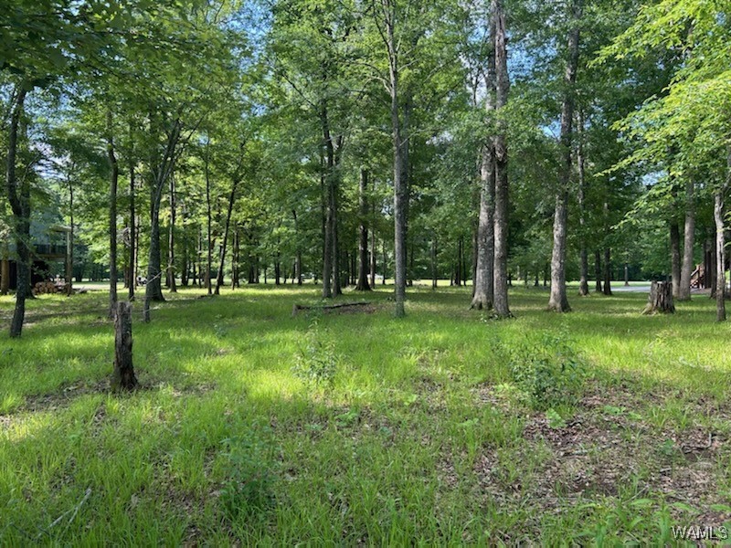 Lot 87 Cypress Point Drive, Akron, Alabama image 9