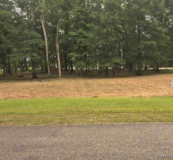 Lot 87 Cypress Point Drive, Akron, Alabama image 2