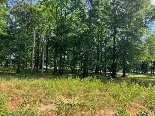 Lot 87 Cypress Point Drive, Akron, Alabama image 6
