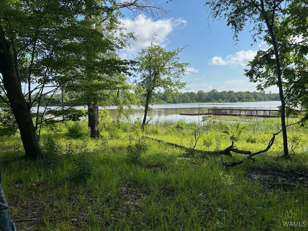 Lot 87 Cypress Point Drive, Akron, Alabama image 7