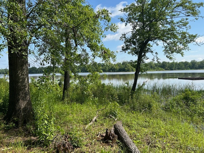 Lot 87 Cypress Point Drive, Akron, Alabama image 8