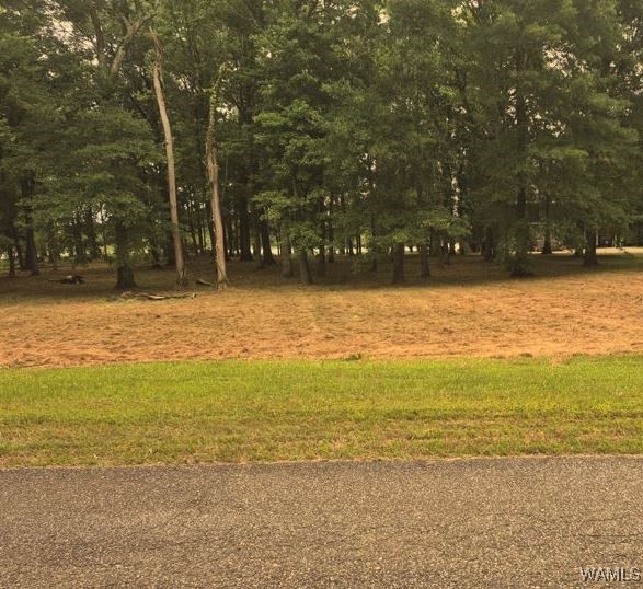 Lot 87 Cypress Point Drive, Akron, Alabama image 1