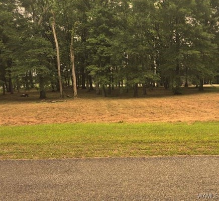 87 CYPRESS POINT DR, AKRON, AL 35441 - Image 44424e951e5a9f2bc4e11e4b01c9b1f7/913315629
