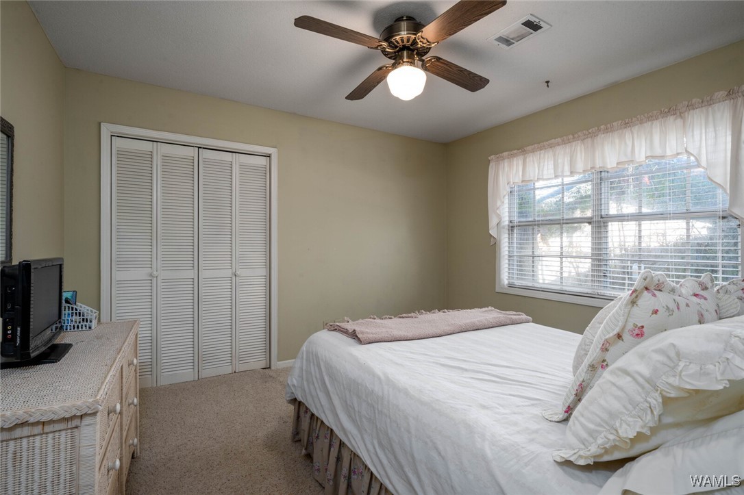 8732 Lodge Lane, Cottondale, Alabama image 33
