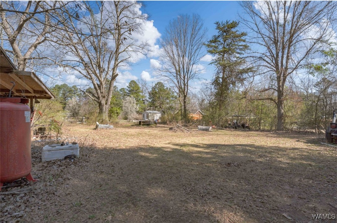 8732 Lodge Lane, Cottondale, Alabama image 43