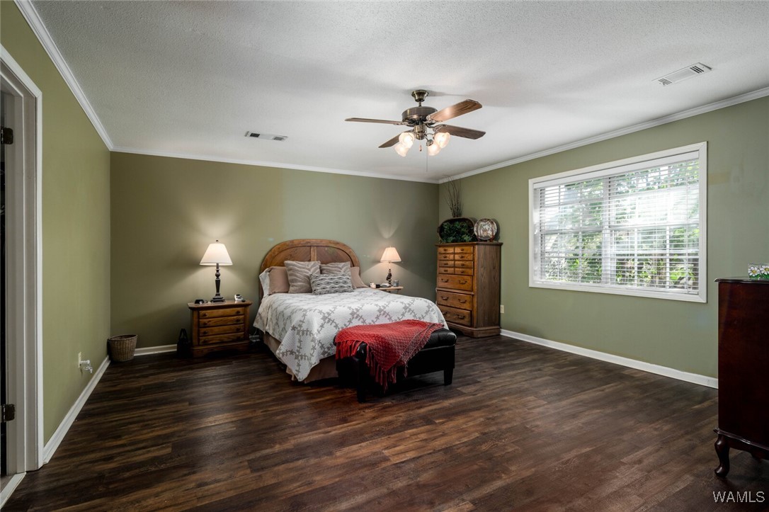 8732 Lodge Lane, Cottondale, Alabama image 28