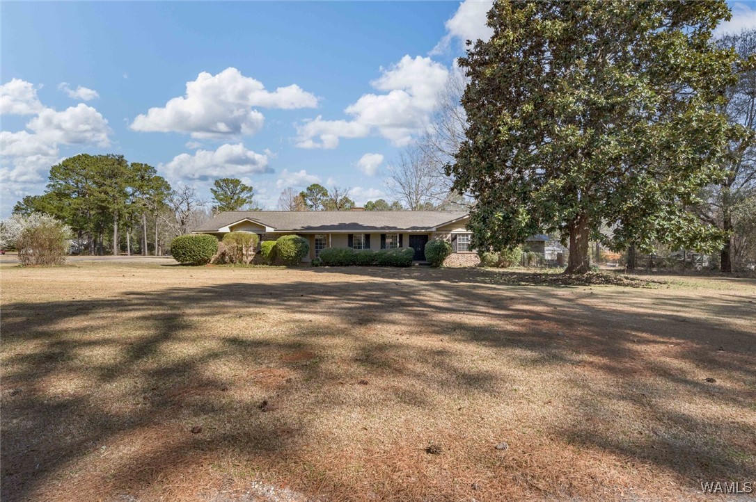 8732 Lodge Lane, Cottondale, Alabama image 3