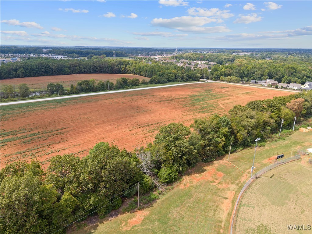 Palmer Road, Madison, Alabama image 9