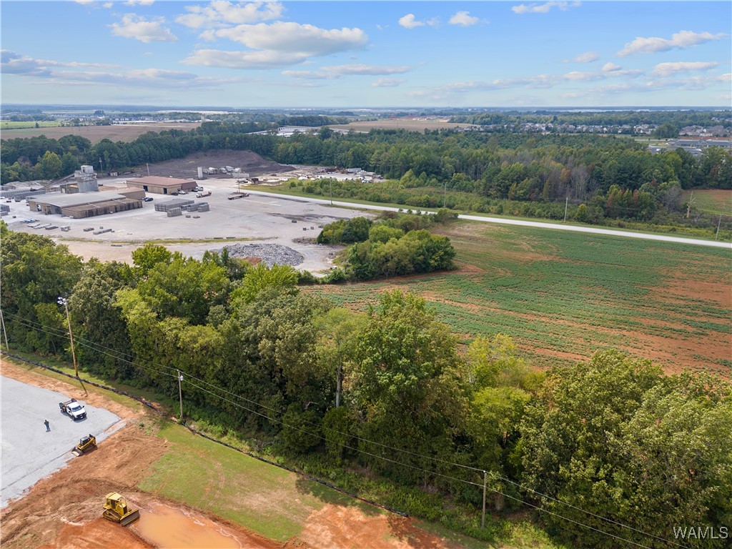 Palmer Road, Madison, Alabama image 8