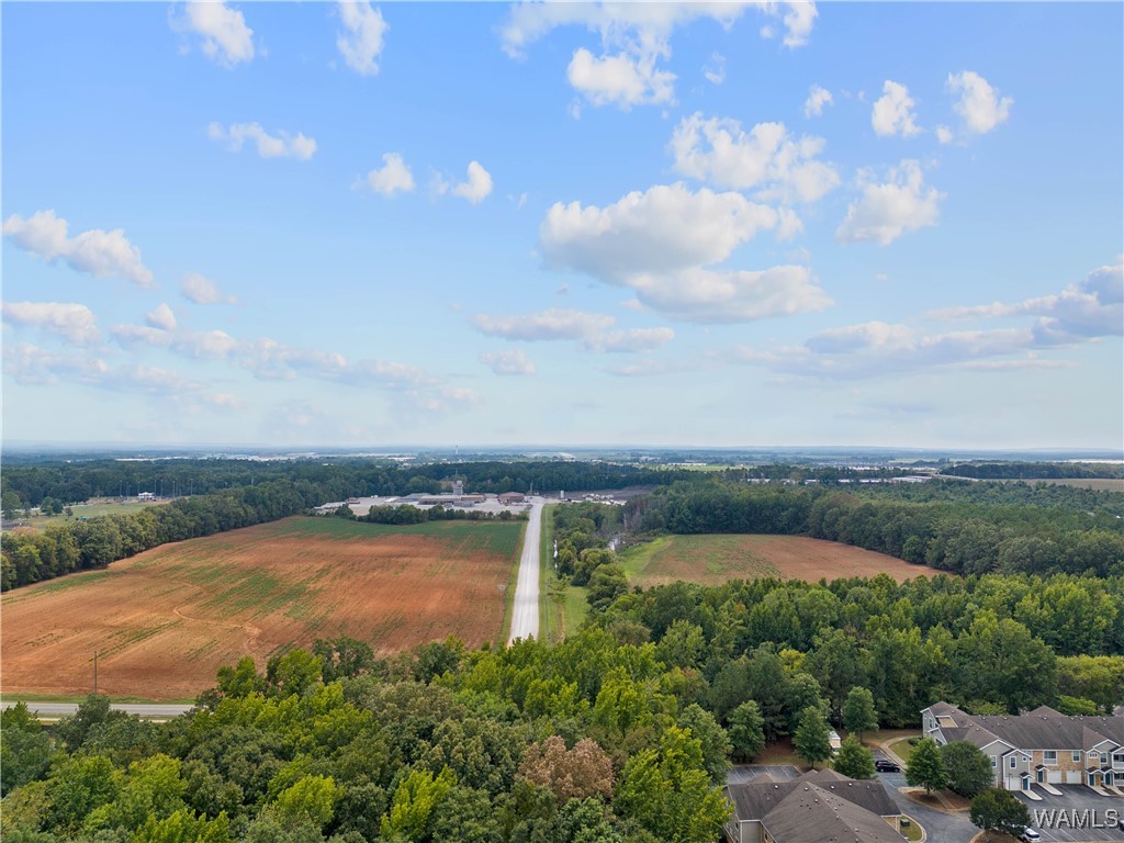 Palmer Road, Madison, Alabama image 5