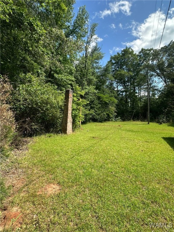 154 11th Street, Aliceville, Alabama image 13