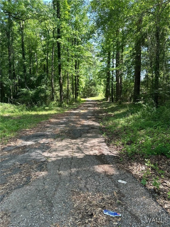 154 11th Street, Aliceville, Alabama image 4