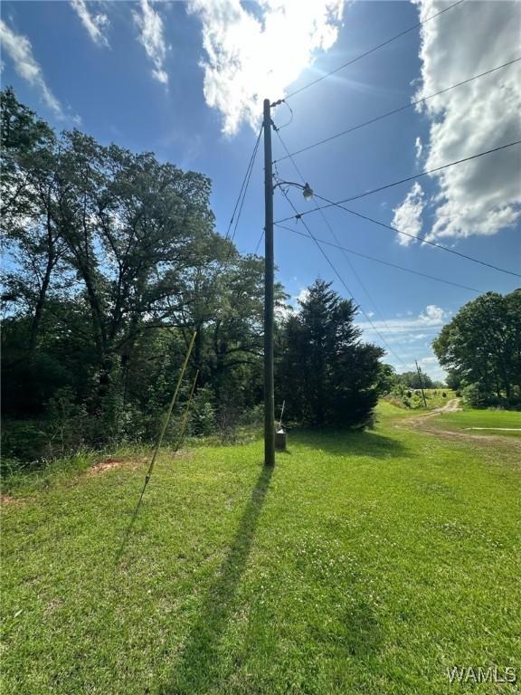 154 11th Street, Aliceville, Alabama image 11