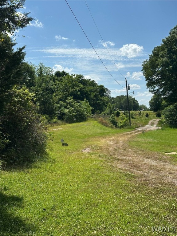 154 11th Street, Aliceville, Alabama image 9