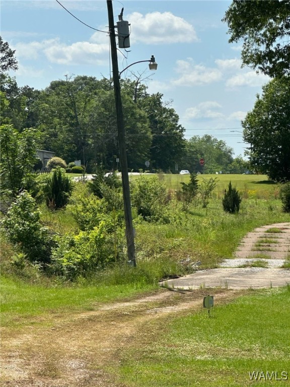154 11th Street, Aliceville, Alabama image 10