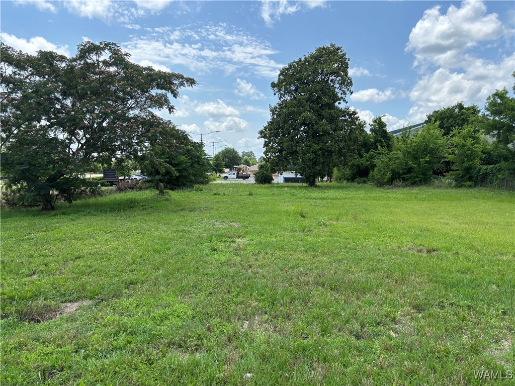 620 23rd Avenue East Ave, Tuscaloosa, Alabama image 2