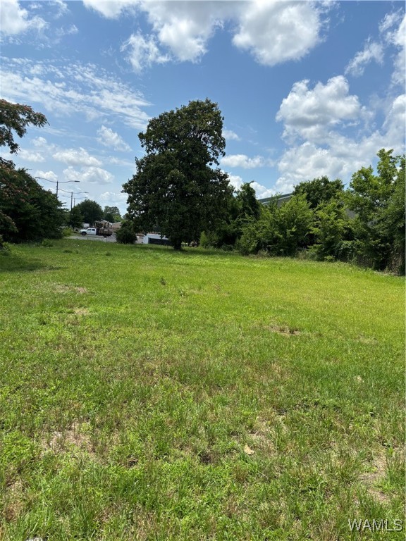 620 23rd Avenue East Ave, Tuscaloosa, Alabama image 1
