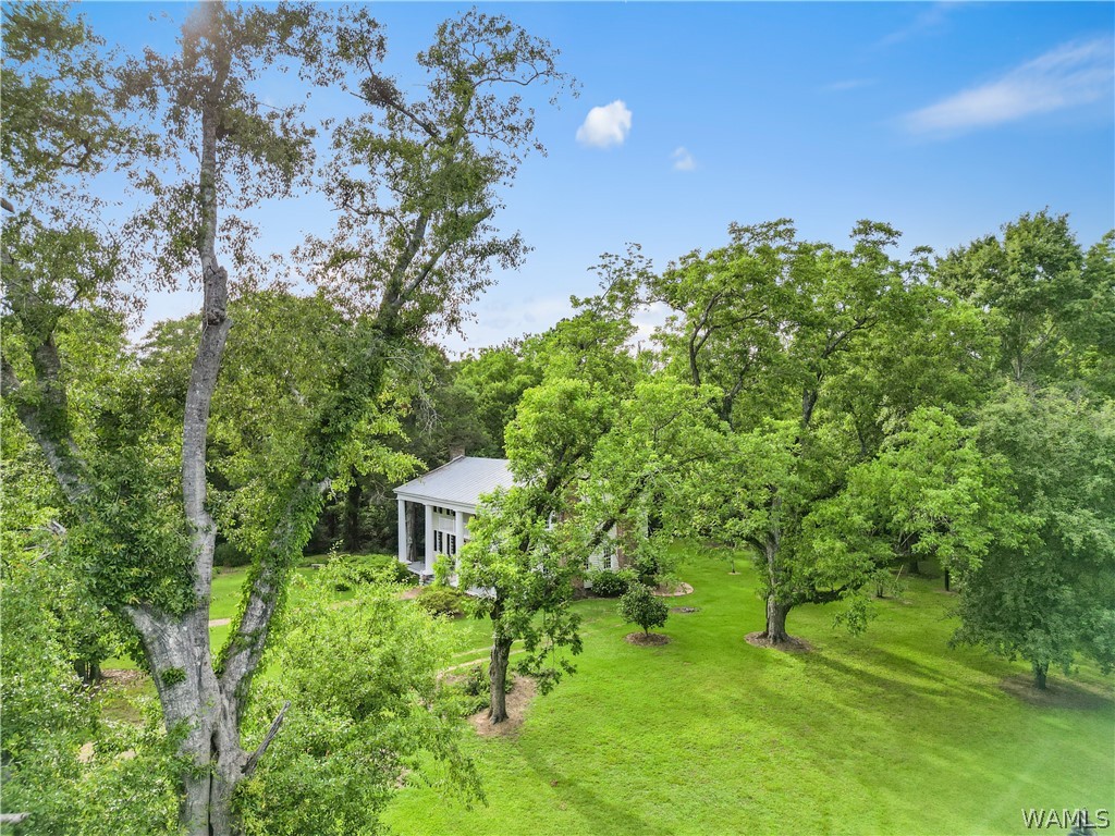 140 Barnes Lane, Eutaw, Alabama image 3