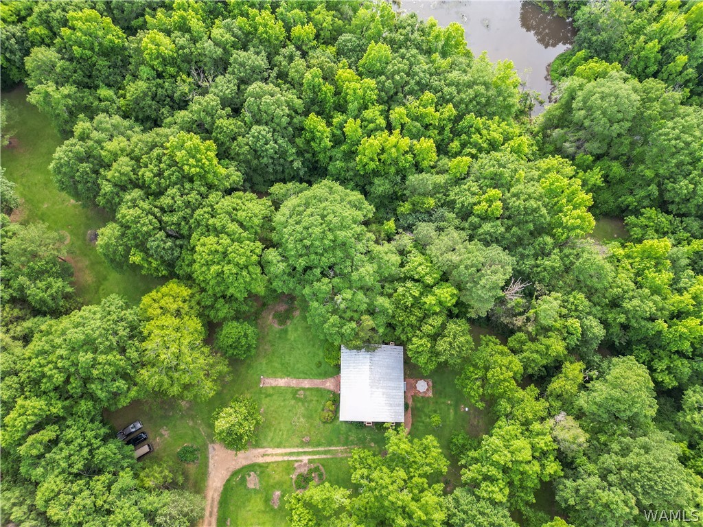 140 Barnes Lane, Eutaw, Alabama image 45