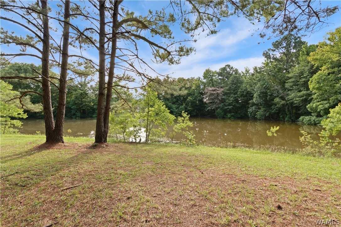 140 Barnes Lane, Eutaw, Alabama image 32